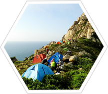 荒島生存訓(xùn)練