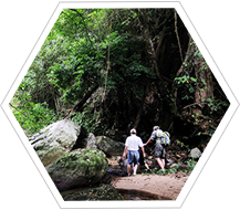 三亞熱帶雨林探險(xiǎn)